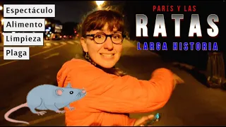 La historia que 'Emily in Paris' jamás te contará🐀 |  El LADO B de París