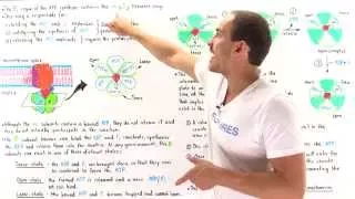 Mechanism of ATP Synthase