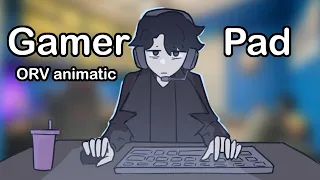 Joonghyuk's Gamer Pad | Omniscient Readers Viewpoint animatic