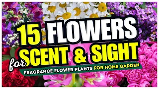 🌷😍 Best 15 Flowers for SCENT and SIGHT! 👀 Fragrance Flower Plants for Home Garden 🤩