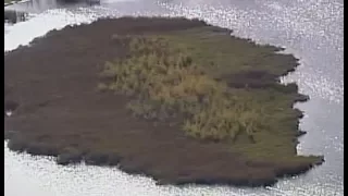 Wandering 'beast' of a bog wreaks havoc on Minnesota lake
