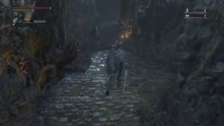 Bloodborne - quick shortcut to Shadows of Yharnam boss fight