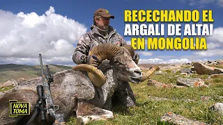 Recechando el argali de Altai en Mongolia