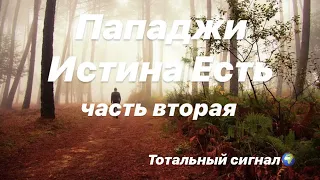 Истина Есть Пападжи Осознанность Настоящий Момент Иллюзорная Реальность аудиокнига Шри Пунджаджи