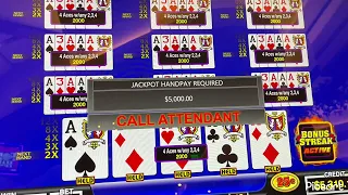 Dealt a dream hand on video poker.