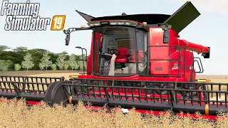 INICIANDO A PRODUÇÃO DE PALHA | Farming Simulator 19 | Fazenda Porto Barrinha - Episódio 139