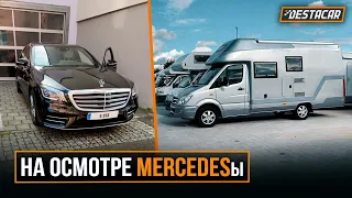 На осмотре MERCEDESы