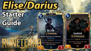 Elise/Darius Starter Deck Guide and budget upgrade paths.