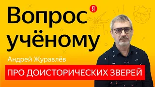 Вопрос учёному: биолог Андрей Журавлёв — о гигантских насекомых и происхождении болезней