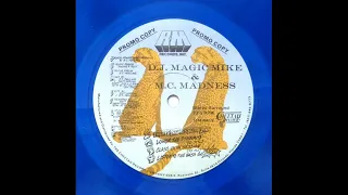 DJ Magic Mike & M C  Madness   Twenty Degrees Below Zero 12'' Vinyl, EP, Promo 1992