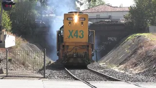 One Hour of Victorian Trains