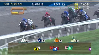 Gulfstream Park Race 12 | February 3, 2018