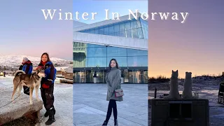 NORWAY VLOG 挪威 自由行 🇳🇴 | 一起去北極圈裡最北的城市 | 追北極光 觀鯨魚 坐雪橇 🐋❄️🤍