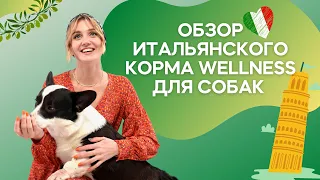 Сухой корм для собак Wellness Dog&Co / Саша знает / Обзор