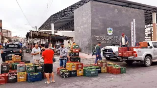 FEIRA NA  CEASA DE SAO BENEDITO CEARÁ 04/06/24