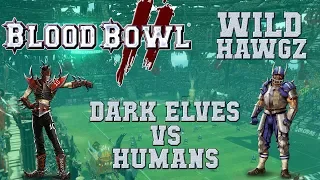 Blood Bowl 2 - Dark Elves (the Sage) vs Humans (Alagass ) Wild Hawgz S2G6