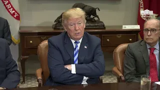 President Trump Attends a Roundtable with Automaker CEOs