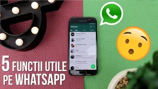 TOP 5 functii UTILE pe care le poti face cu WhatsApp
