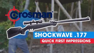 Crosman Shockwave | First Impressions