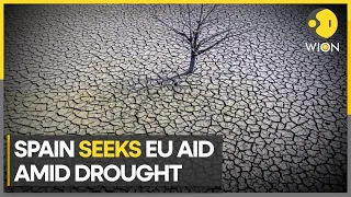 Spain pleads for EU crisis funds as drought hits farmers | WION Climate Tracker