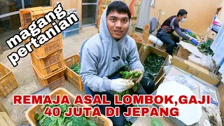 USIA 19 TAHUN KERJA KE JEPANG GAJI PULUHAN JUTA,LUAR BIASA