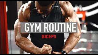 MY BICEP GYM ROUTINE / HOW I GOT BIGGER ARMS | ASH FITNESS