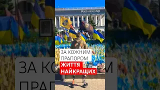 💔Не з таких причин повинні майоріти наші стяги | Відео: oleksa1981