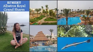 Albatros Royal Grand Sharm в Египете - место для отличного отдыха с потрясающе красивым рифом