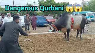 Tabahi macha di 😱😱 | Khatarnak Qurbani 2022