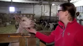 Mademoiselle Chèvre : des fromages faits maison