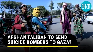 Taliban To Enter Gaza Battlefield? Iran's Bombshell 'Army of Bombers' Claim | Watch