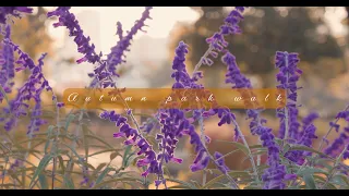【GH6】autumn park walk【cinematic image】LEICA DG VARIO-ELMARIT 12-60mm f2.8-4.0 ASPH【LUMIX】Handheld