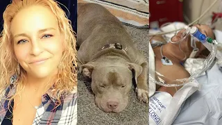 Woman's beloved pit bull tried to viciously eat her alive in Lewisville