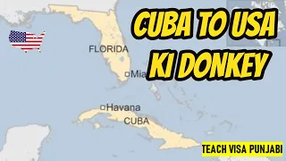 usa ki donkey information punjabi | CUBA KI DONKEY 2020.