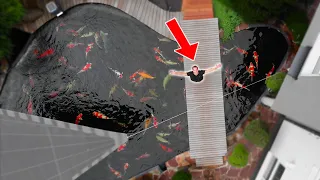 World’s Largest Koi Fish and Pond!