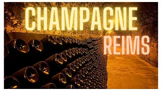 Day Trip From Paris | Champagne Tasting In Reims