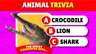 🦁 Do You REALLY Know Your Animal Facts? Take the Ultimate Wildlife Quiz NOW! | Quiz Pop!