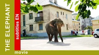 The Elephant. Russian Movie. Adventure. Comedy. English Subtitles. The Rock Films. StarMediaEN