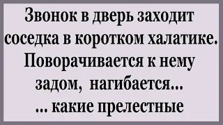 Пришла к мужику  соседка в коротком халатике.   Сборник смешных Анекдотов.