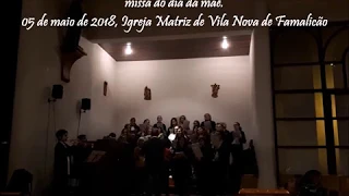 Salvé Virgem Mãe de Deus - F. da Silva