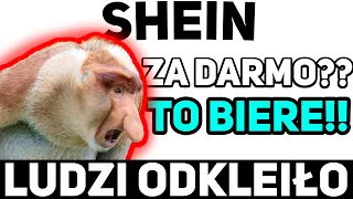 SHEIN LUDZI ODKLEIŁO XD