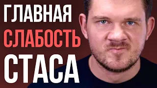 Как БОНДАРЕНКО ловко ОБЕЗВРЕДИЛ СТАСА Ай Как Просто