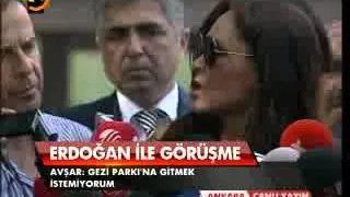 Hülya Avşar, Başbakan ile görüştü