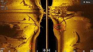 Разбор скриншотов с эхолота Lowrance. Как выглядит рыба и коряги в эхолоте! Короткий отчет с рыбалки