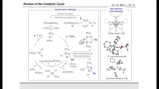 Synthesis Workshop: Elucidating Ni-catalyzed Negishi Couplings with Craig Day (Episode 52)