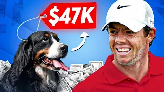 RORY MCILROY: Untold SECRETS You Didn't Know...