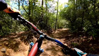 Avery Creek, Pisgah, North Carolina | Mountain Bikes