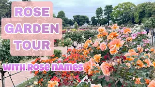 ROSE GARDEN TOUR 🌹| with ROSE NAMES