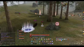 SoulTaker pvp L2 essence