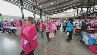 More Than Pink Walk